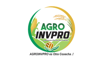 Agroinvpro - Grains & Fruits Exports