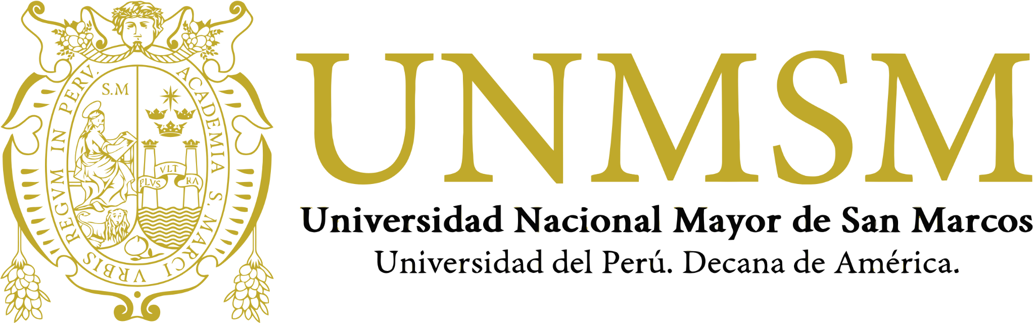 unmsm